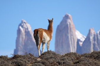 Awasi Patagonia Hotel สิ่งอำนวยความสะดวก รูปภาพ